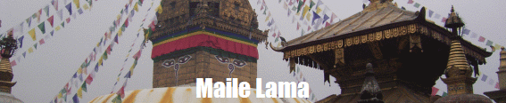Maile Lama