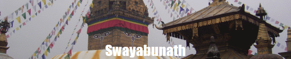 Swayabunath